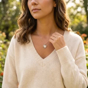 Collar Corazón Radiante Acero I Libélula Nocturna